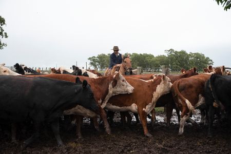 tagreuters.com2025binary_LYNXMPEL4G054-VIEWIMAGE