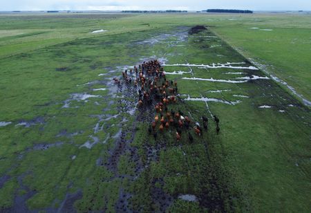 tagreuters.com2025binary_LYNXMPEL4G058-VIEWIMAGE