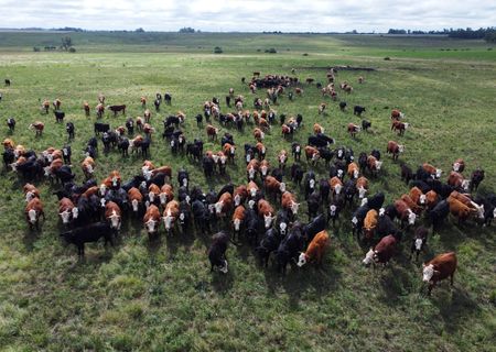 tagreuters.com2025binary_LYNXMPEL4G05B-VIEWIMAGE