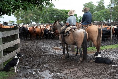 tagreuters.com2025binary_LYNXMPEL4G05C-VIEWIMAGE