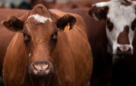 tagreuters.com2025binary_LYNXMPEL4G05F-VIEWIMAGE