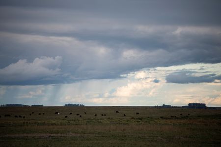 tagreuters.com2025binary_LYNXMPEL4G05G-VIEWIMAGE