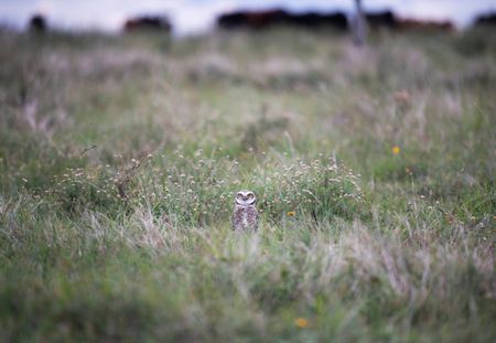 tagreuters.com2025binary_LYNXMPEL4G05H-VIEWIMAGE