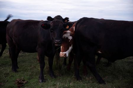 tagreuters.com2025binary_LYNXMPEL4G05I-VIEWIMAGE