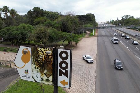 tagreuters.com2025binary_LYNXMPEL4I105-VIEWIMAGE