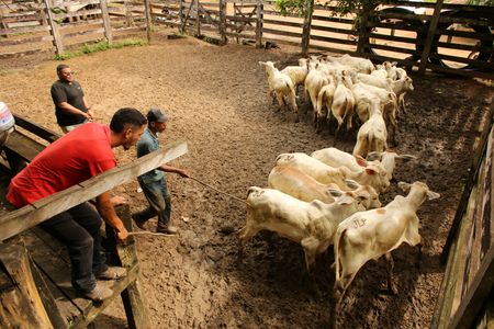 tagreuters.com2025binary_LYNXMPEL580BZ-VIEWIMAGE