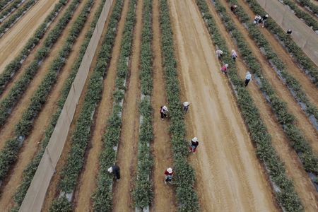 tagreuters.com2025binary_LYNXMPEL5A0FV-VIEWIMAGE