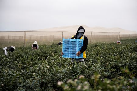 tagreuters.com2025binary_LYNXMPEL5A0FY-VIEWIMAGE