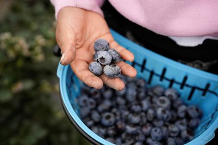 tagreuters.com2025binary_LYNXMPEL5A0G0-VIEWIMAGE