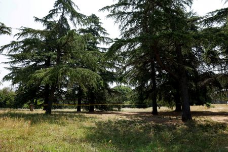 tagreuters.com2025binary_LYNXMPEL5C0R4-VIEWIMAGE