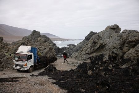 tagreuters.com2025binary_LYNXMPEL5I0E2-VIEWIMAGE