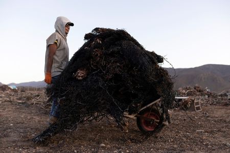 tagreuters.com2025binary_LYNXMPEL5I0E4-VIEWIMAGE