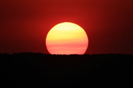 tagreuters.com2025binary_LYNXMPEL6E0YY-VIEWIMAGE