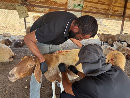 tagreuters.com2025binary_LYNXMPEL6H0MN-VIEWIMAGE