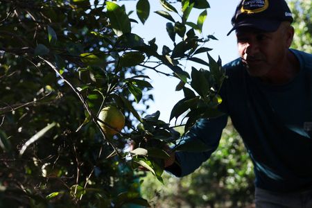 tagreuters.com2025binary_LYNXMPEL6N0JT-VIEWIMAGE