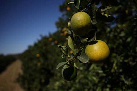 tagreuters.com2025binary_LYNXMPEL6N0JU-VIEWIMAGE