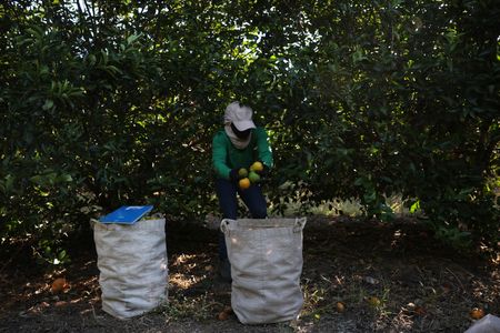 tagreuters.com2025binary_LYNXMPEL6N0JV-VIEWIMAGE