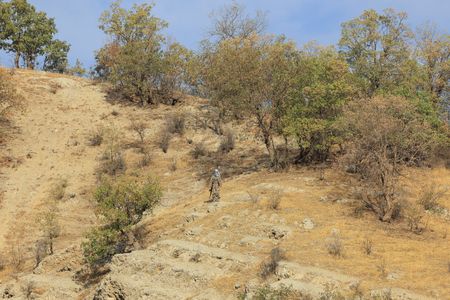 tagreuters.com2025binary_LYNXMPEL9P0A9-VIEWIMAGE