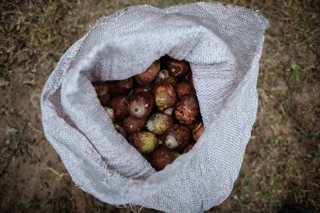 tagreuters.com2025binary_LYNXMPEL9U0KK-VIEWIMAGE