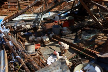 tagreuters.com2025binary_LYNXMPELA4042-VIEWIMAGE