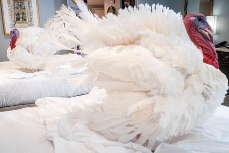 tagreuters.com2025binary_LYNXMPELAO15E-VIEWIMAGE