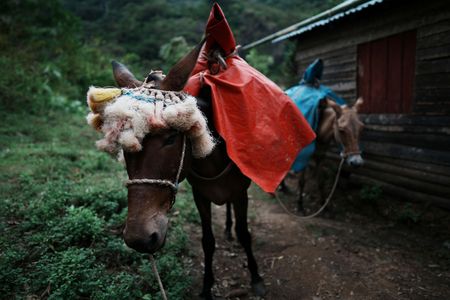 tagreuters.com2025binary_LYNXMPELAR0HY-VIEWIMAGE