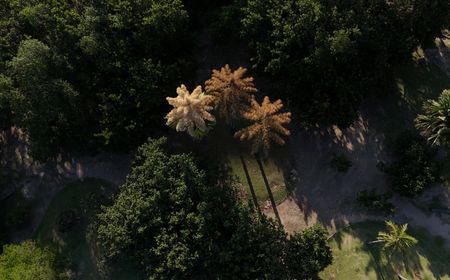 tagreuters.com2025binary_LYNXMPELB119N-VIEWIMAGE