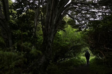 tagreuters.com2025binary_LYNXMPELBI0P3-VIEWIMAGE