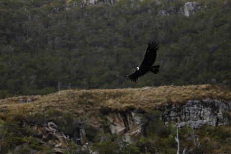 tagreuters.com2025binary_LYNXMPELBI0P9-VIEWIMAGE