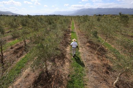 tagreuters.com2025binary_LYNXNPEL1I0AH-VIEWIMAGE