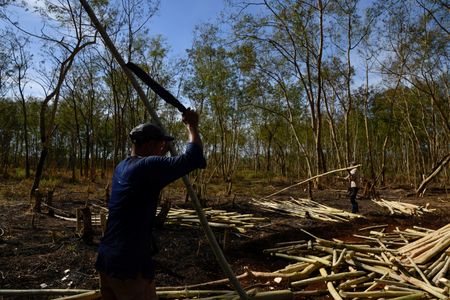 tagreuters.com2025binary_LYNXNPEL1I0SB-VIEWIMAGE