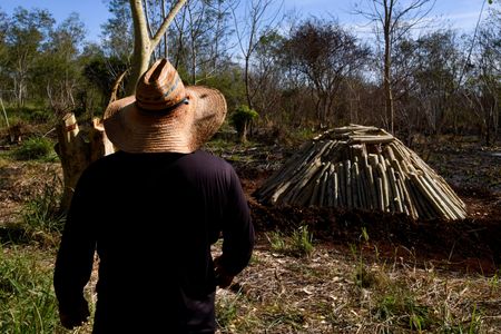 tagreuters.com2025binary_LYNXNPEL1I0SC-VIEWIMAGE