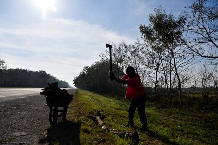 tagreuters.com2025binary_LYNXNPEL1I0SE-VIEWIMAGE