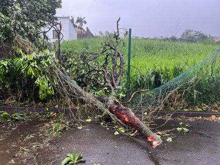 tagreuters.com2025binary_LYNXNPEL1R0M1-VIEWIMAGE