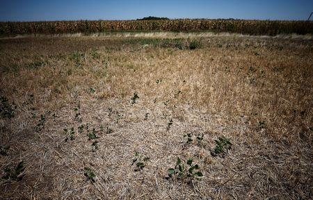 tagreuters.com2025binary_LYNXNPEL250HP-VIEWIMAGE