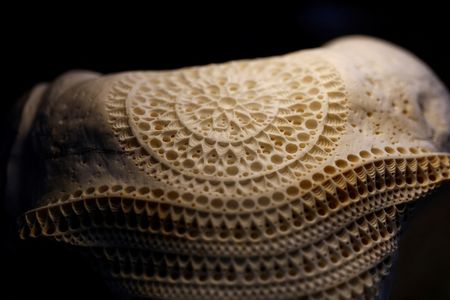 tagreuters.com2025binary_LYNXNPEL260EZ-VIEWIMAGE