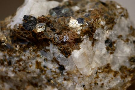 tagreuters.com2025binary_LYNXNPEL260F3-VIEWIMAGE