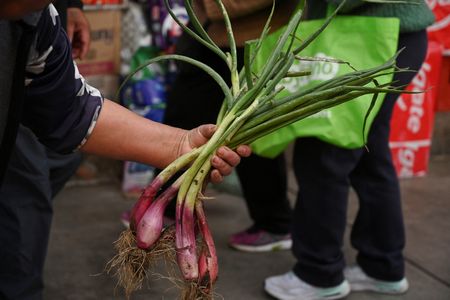 tagreuters.com2025binary_LYNXNPEL360EK-VIEWIMAGE