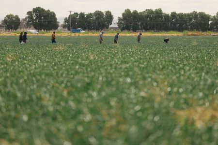 tagreuters.com2025binary_LYNXNPEL380H6-VIEWIMAGE