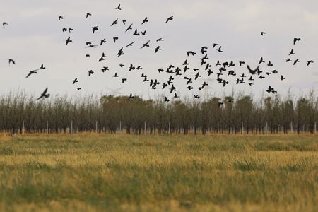 tagreuters.com2025binary_LYNXNPEL380H8-VIEWIMAGE