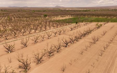 tagreuters.com2025binary_LYNXNPEL380R4-VIEWIMAGE