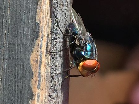 tagreuters.com2025binary_LYNXNPEL510DW-VIEWIMAGE