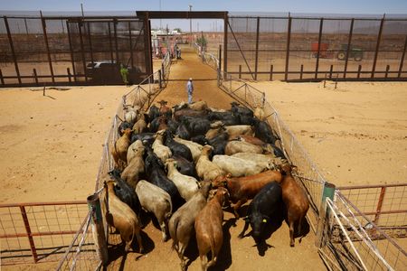 tagreuters.com2025binary_LYNXNPEL510DZ-VIEWIMAGE