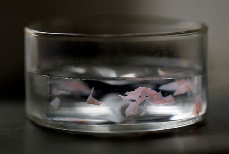 tagreuters.com2025binary_LYNXNPEL5304V-VIEWIMAGE