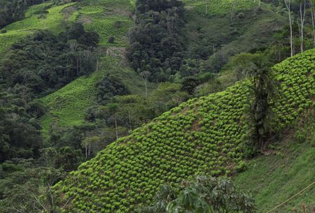 tagreuters.com2025binary_LYNXNPEL8A0EQ-VIEWIMAGE