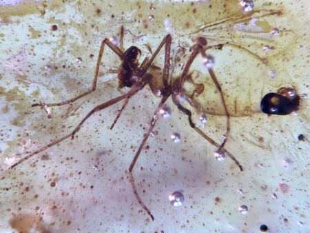 tagreuters.com2025binary_LYNXNPEL8H114-VIEWIMAGE