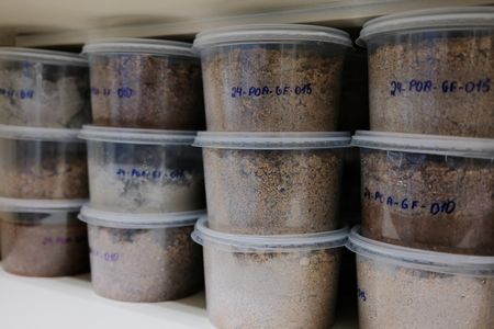 tagreuters.com2025binary_LYNXNPEL8N0WS-VIEWIMAGE