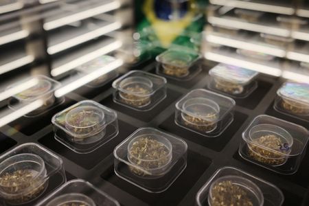 tagreuters.com2025binary_LYNXNPEL8N0WV-VIEWIMAGE