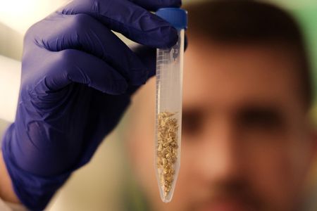 tagreuters.com2025binary_LYNXNPEL8N0X1-VIEWIMAGE